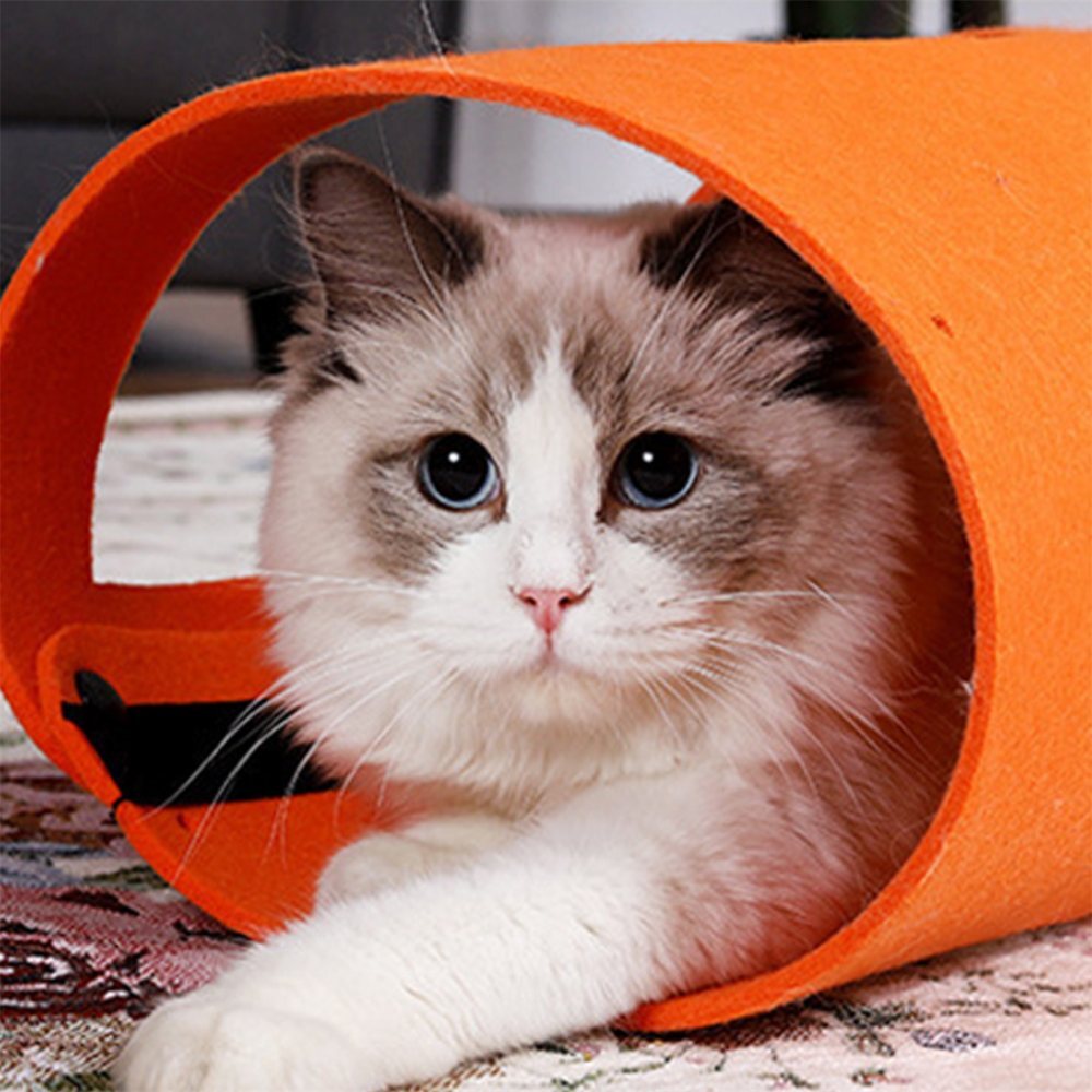 멜리사컴퍼니 고양이 터널모양 장난감 캣튜디오 5,700원