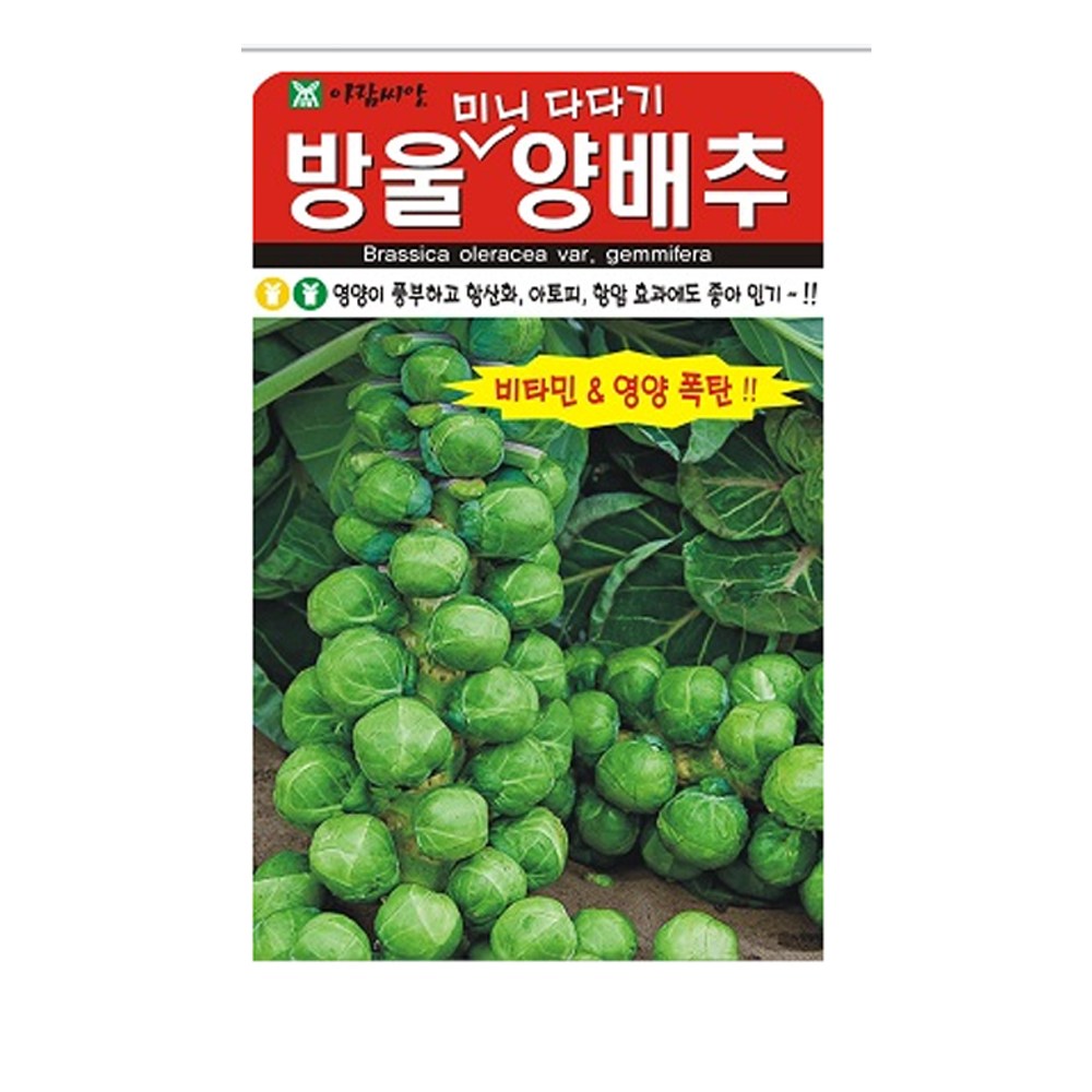 SN월드 씨앗 쌈채소 잎채소 모음, 방울다다기양배추 3,950원