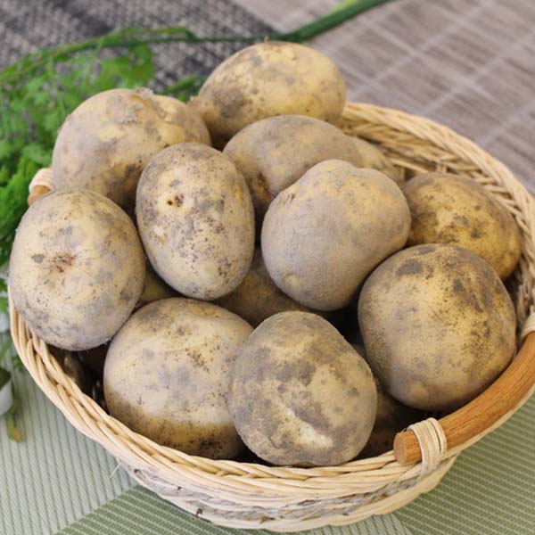 2025년 햇감자(대)20kg/10kg/5kg 1박스 자연대로팜웨이 45,800원