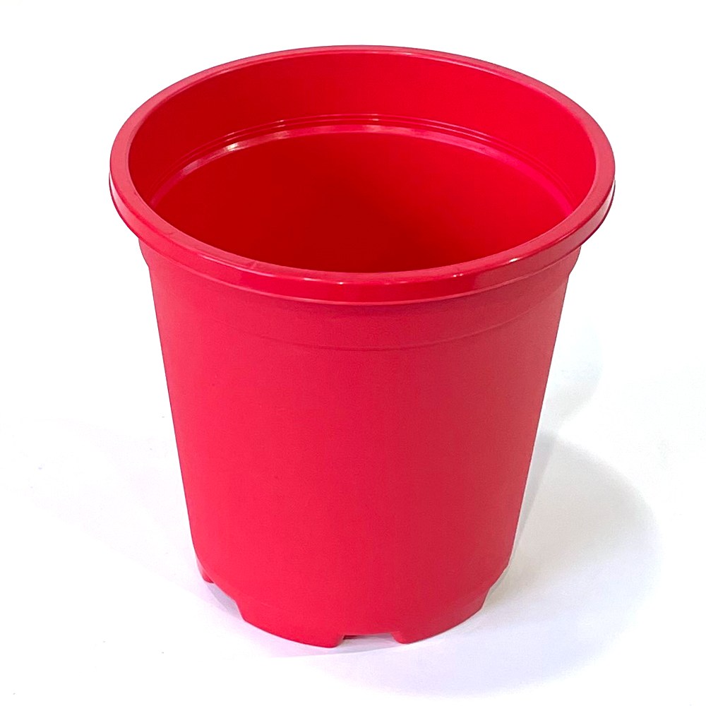 재배분DS180(빨강) 플라스틱화분 모종 분갈이흙, 빨강 1,170원