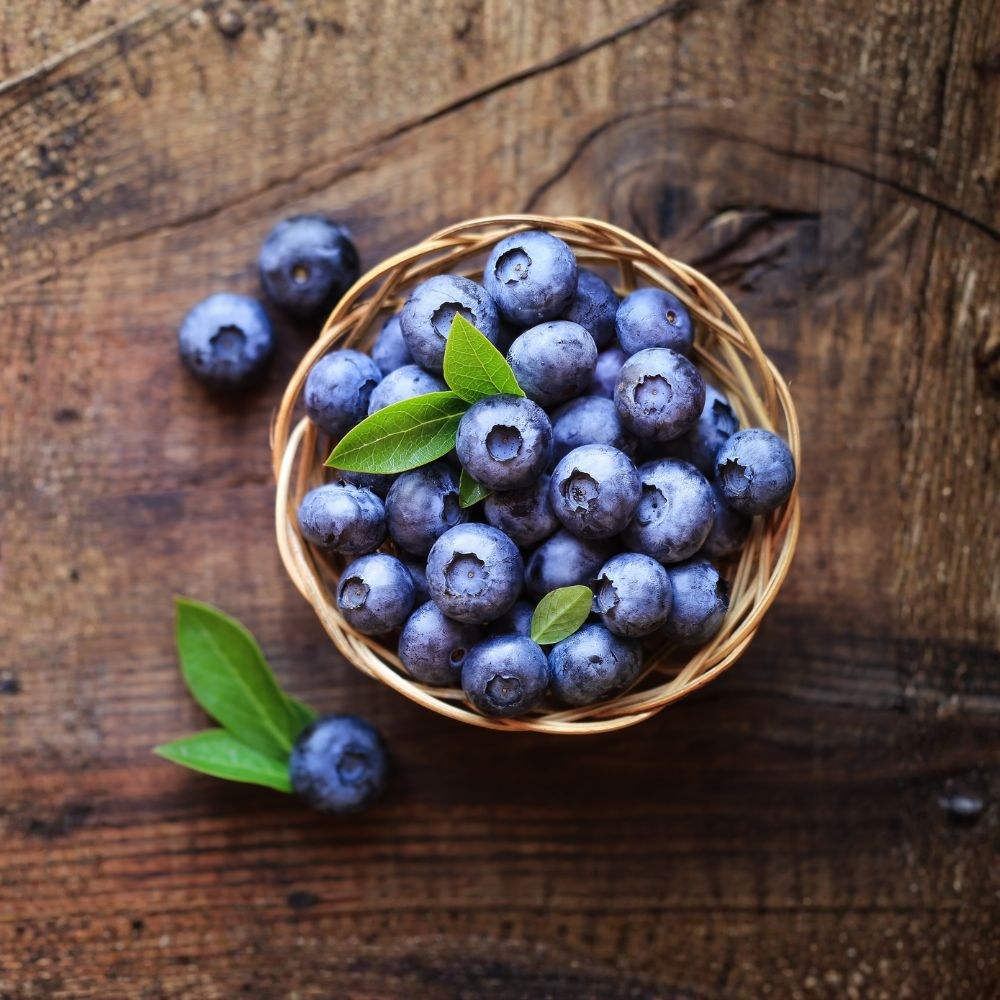 신선한 블루베리 125g  대알 소알 사이즈 선택  항산화 눈 건강 다이어트 간식 15,450원