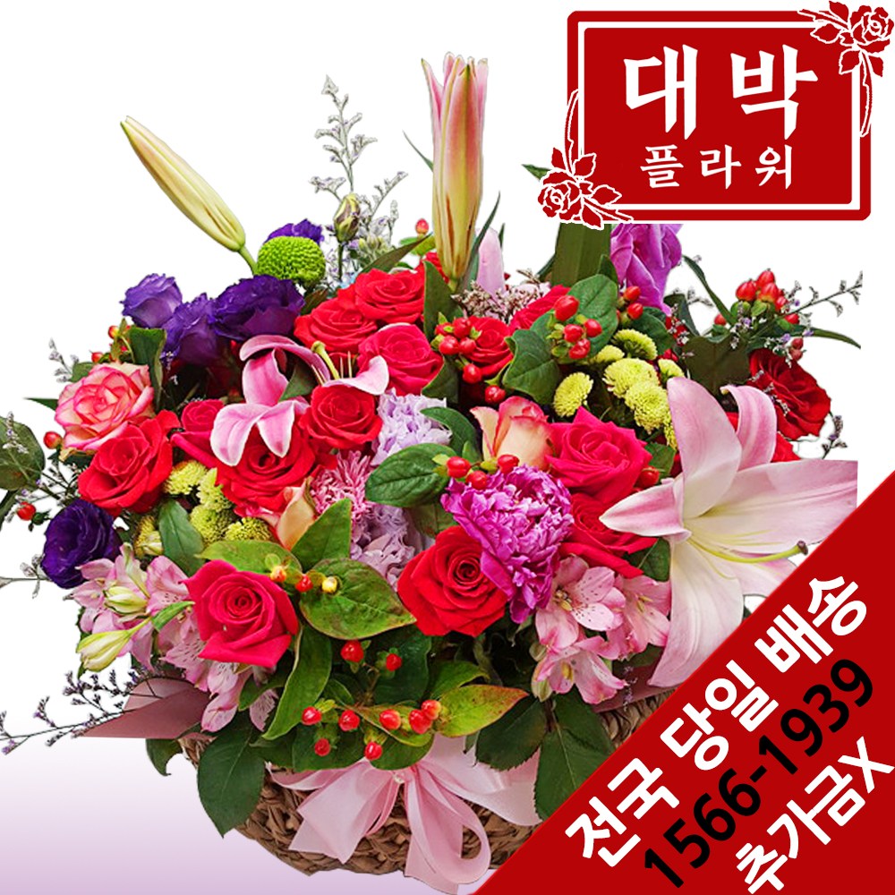 대박플라워 그녀에게 꽃바구니 생일선물 기념일 출산꽃선물 병문안 꽃배달, 1개 76,900원