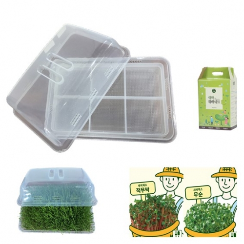 아시아종묘 재배용기 다용도 새싹재배기 씨앗 2종 세트, 1개 11,900원