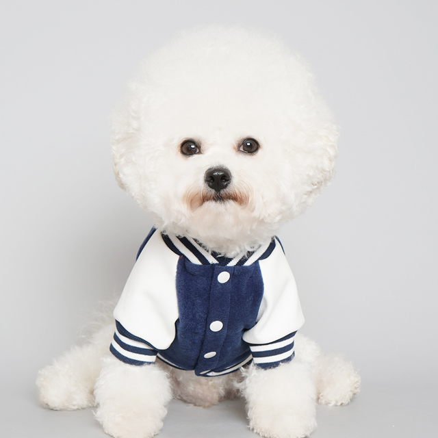 바이담수미 강아지 겨울 과잠바, 블루, 1개 36,900원