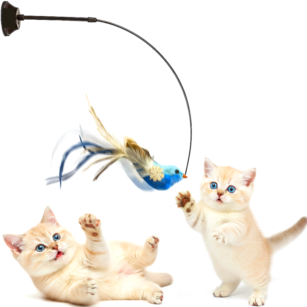 스마일플로우 진짜같은 전설새 낚시대 풀세트 고양이 최애 튼튼 고정 장난감, 1세트, 아쿠아 새 15,900원