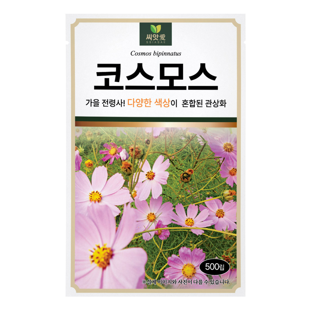 다농 씨앗애 코스모스 씨앗 500p 2,460원
