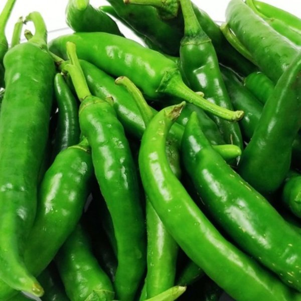 맵고 달큰한 청양고추 (1kg) 야채과일 야과몰 12,900원