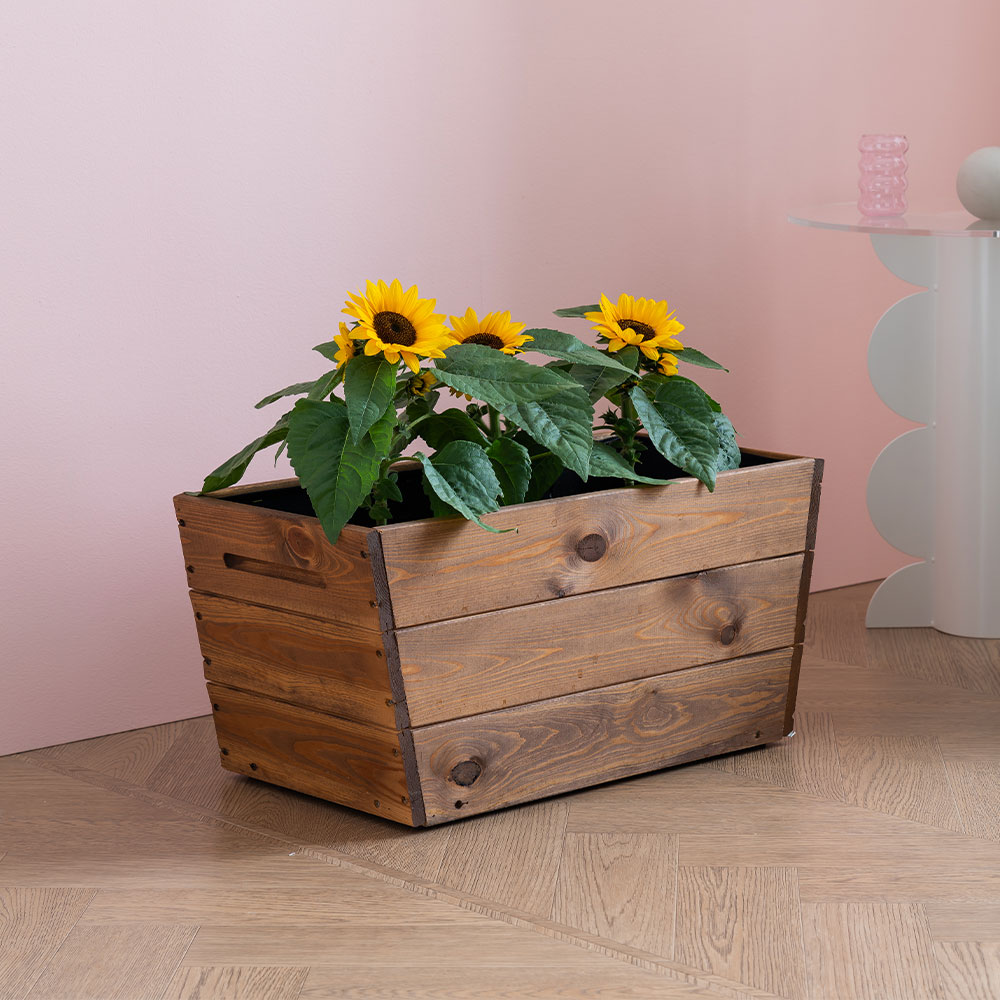 포그미 베란다 이동식 텃밭화분 원목 아파트 옥상 베란다 방부목 플랜트박스 직사각 화단 홈가드닝 블루베리화분 55,000원