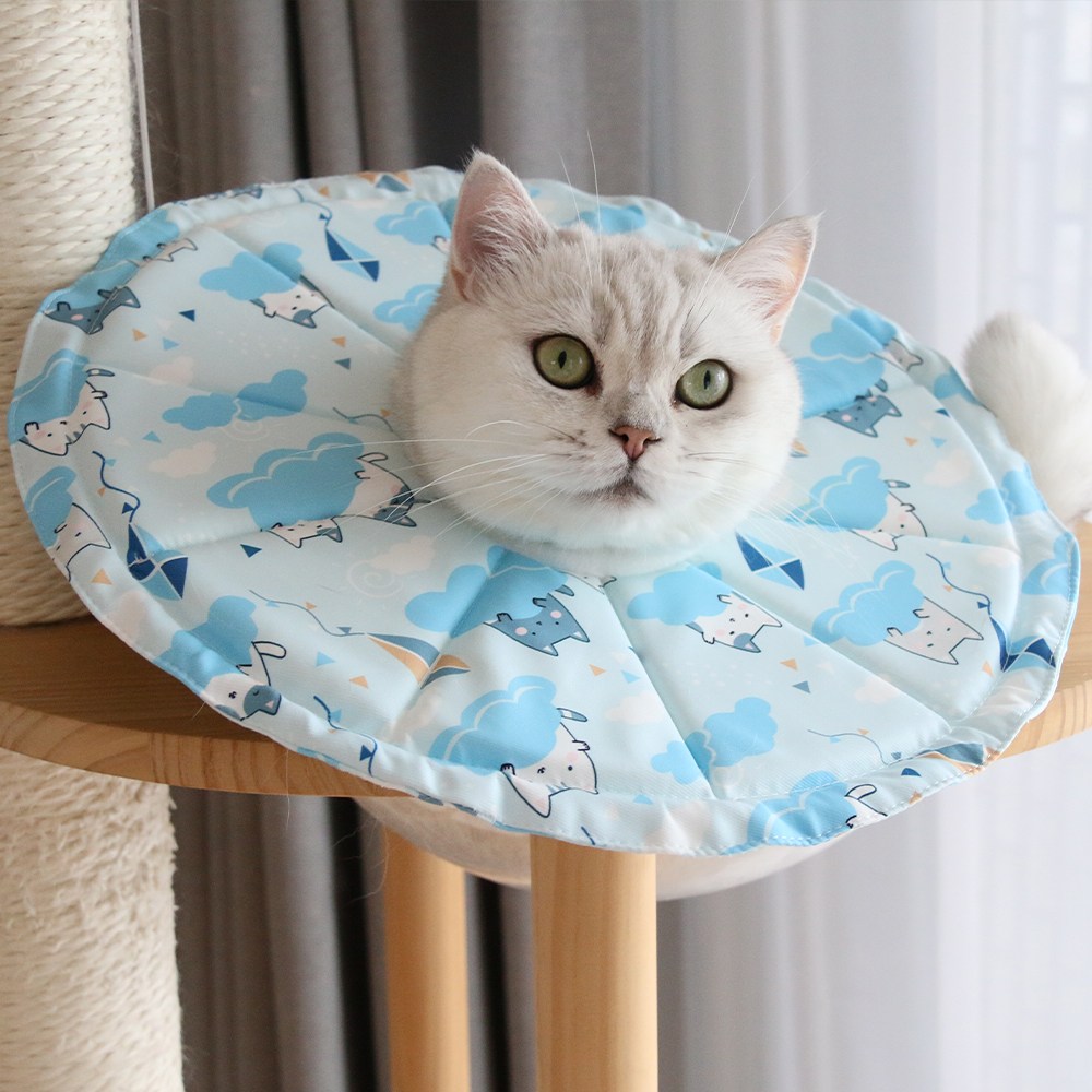 드림계곡 반려동물 강아지 고양이 초경량 방수 빅 칼라 넥카라, 1개, 파란색 14,900원