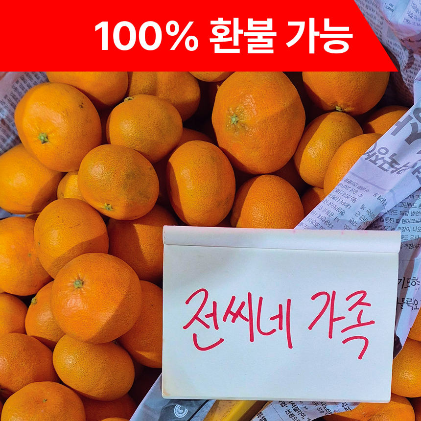 [환불보장] 제주 천혜향 농장직송 초특가 39,900원