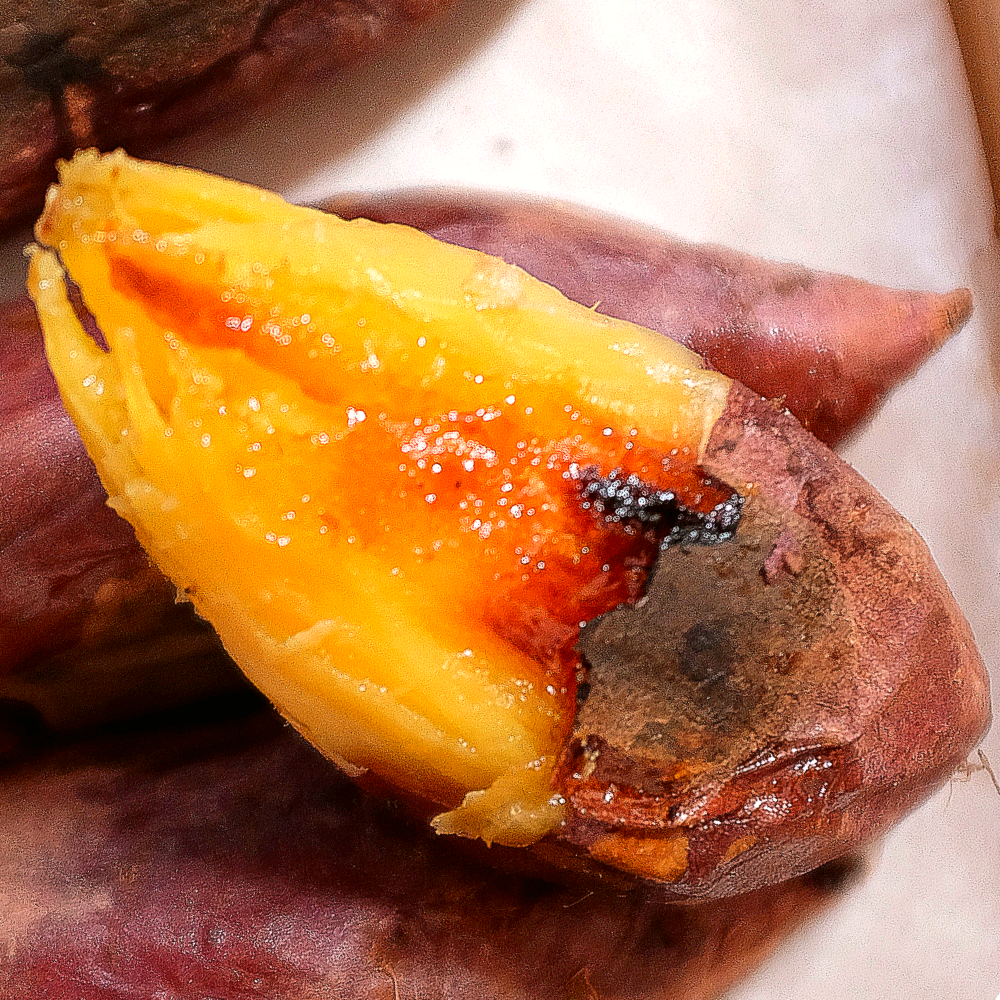 산지직송 해남 베니하루카 꿀고구마 호밤고구마, 1박스, 5kg(중상) 28,600원