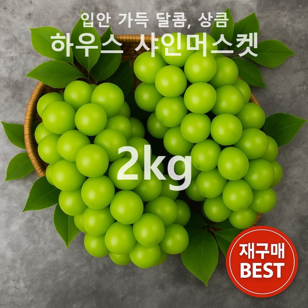 [고당도 아삭한 맛] 신선한 특품/하우스 샤인머스켓, 2박스, 프리미어 2kg(3~4수) 41,500원