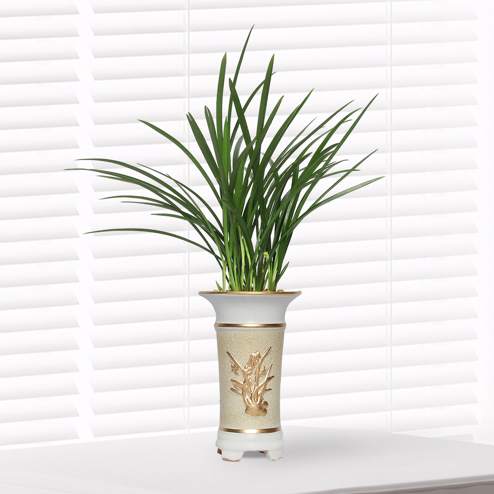 에코플라워 동양란 (철골_55cm내외) 전국당일배송 사진전송 승진 영전 인사이동 진급 취임 개업 꽃배달 g-0092, 1개 47,590원