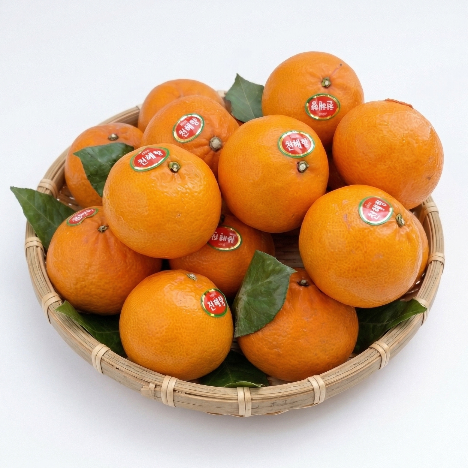 고당도천혜향 가정용 선물용 제철과일 제주방가네농장, 1박스, 가정용 천혜향 3kg(박스무게포함) 33,000원