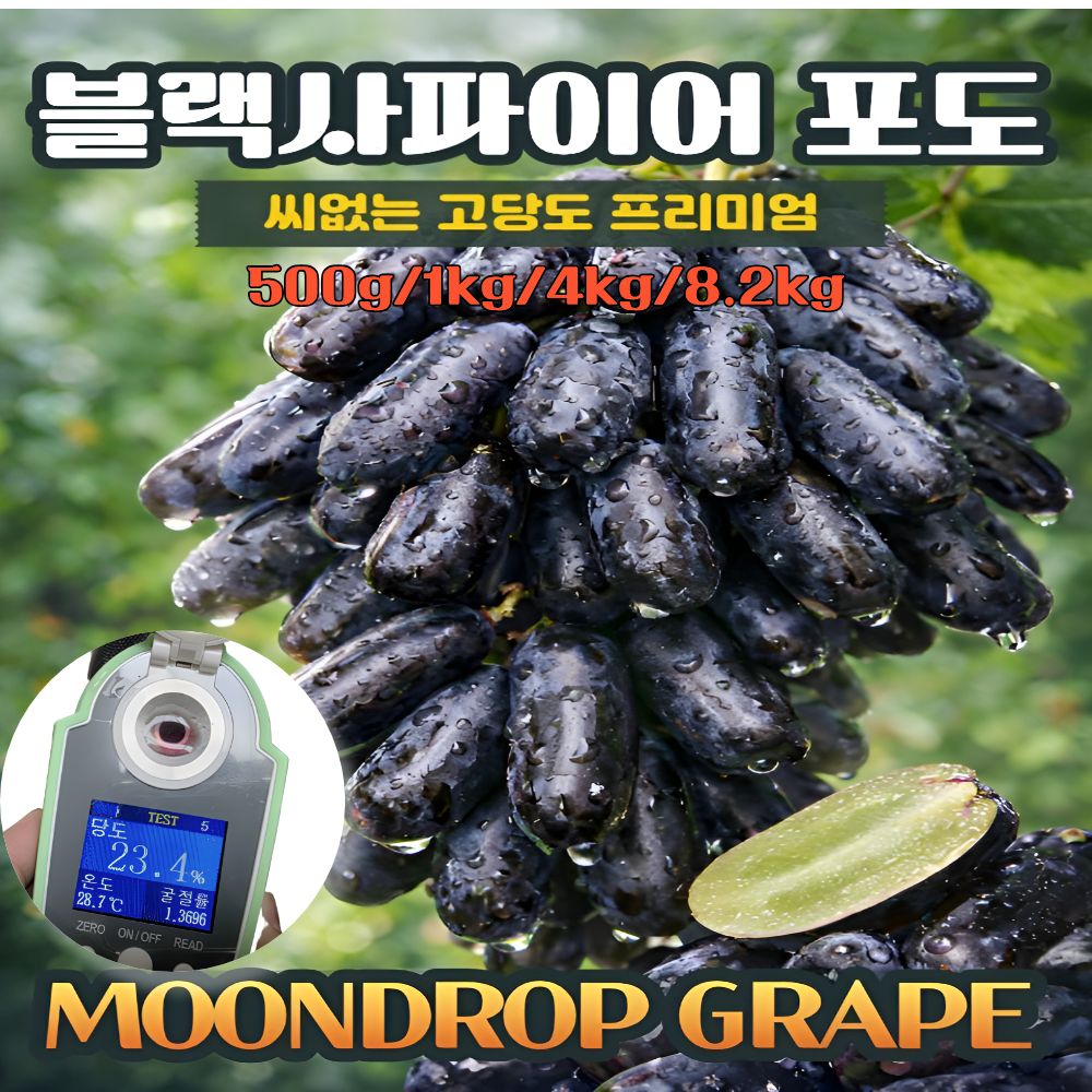 블랙사파이어 포도 씨없는포도 23bix 고당도 포도 껍질째 먹는 가지포도 41,900원