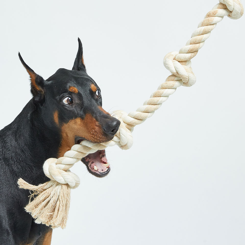 럭키페터 대형견 터그놀이 장난감, 베이지, 1개 5,990원