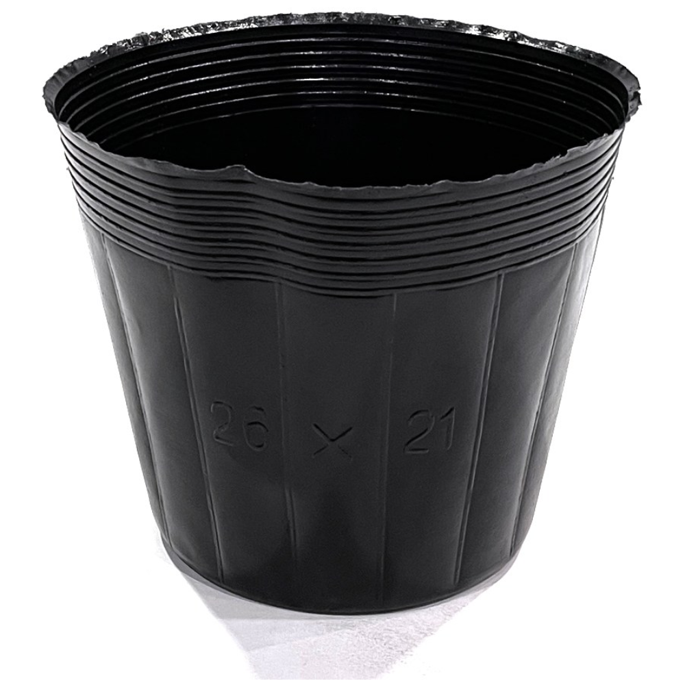 검정비닐포트8치 10개 모종 플라스틱화분 묘목 분갈이 4,500원