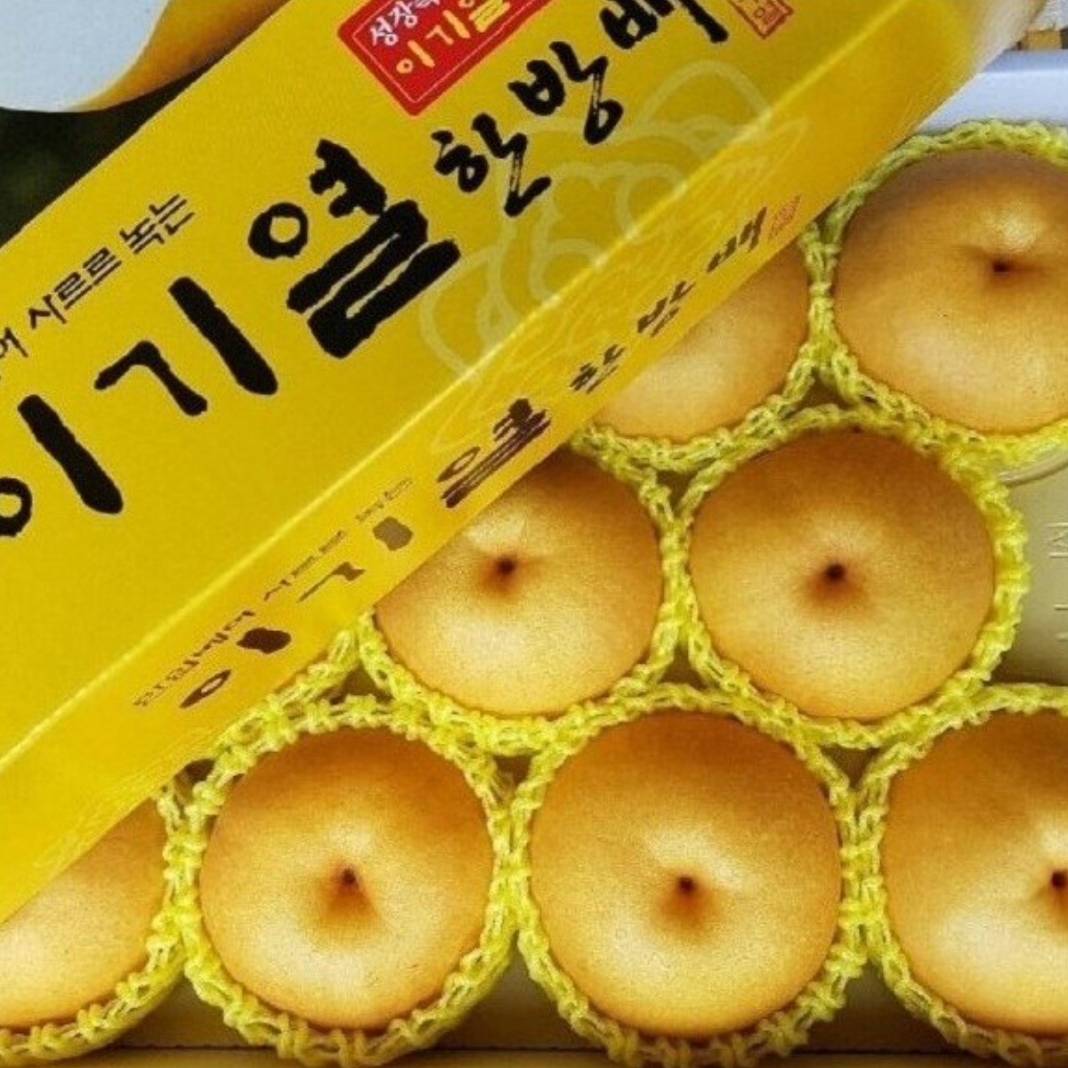 [이기열 한방배] 명품 배 선물세트 GAP인증 농림부 장관상 수상 명인의 고당도 한방배. 나주배 원예농협 53,100원