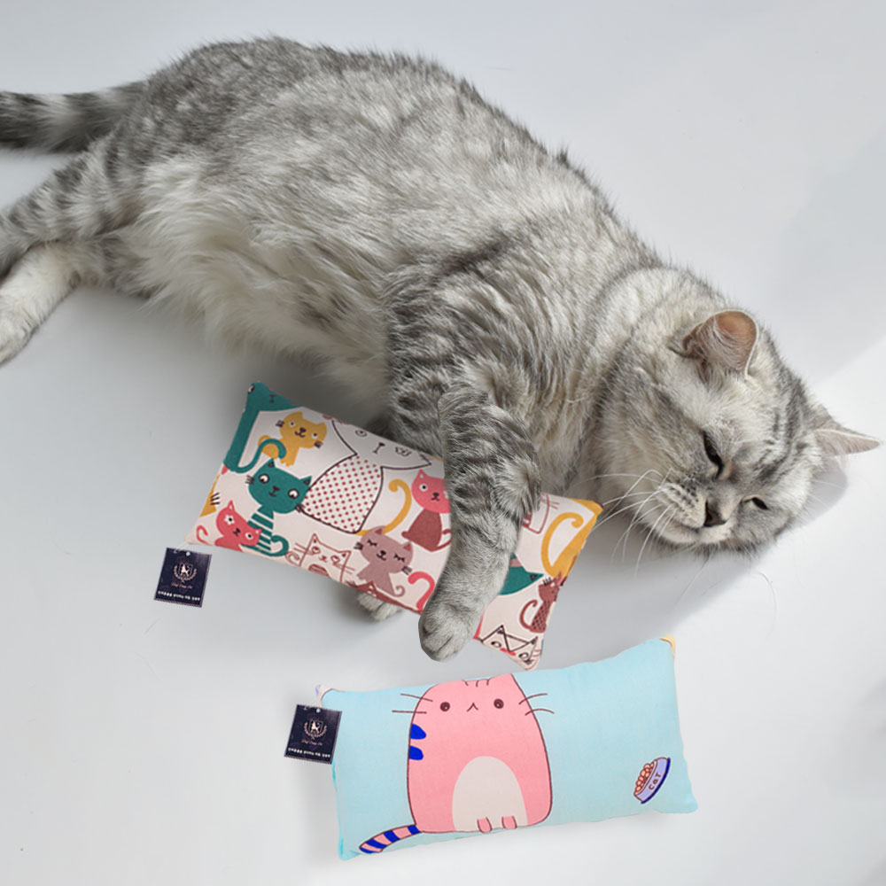 딩동펫 고양이 볼드 마따따비 캣닢 쿠션 바스락 장난감 2종 세트 중형 5,400원