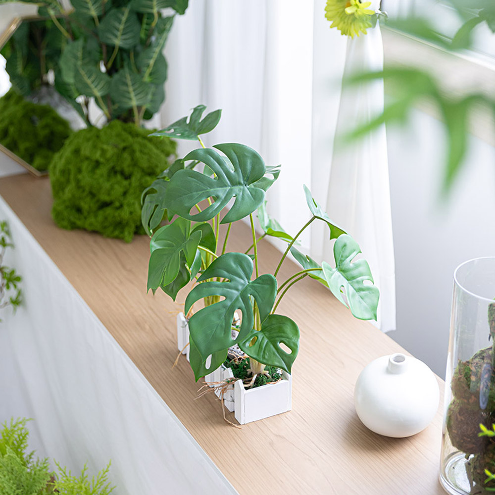 인조조경 조화나무 인조식물 플랜테리어 셀프인테리어 리얼이끼 녹색울타리 20,000원