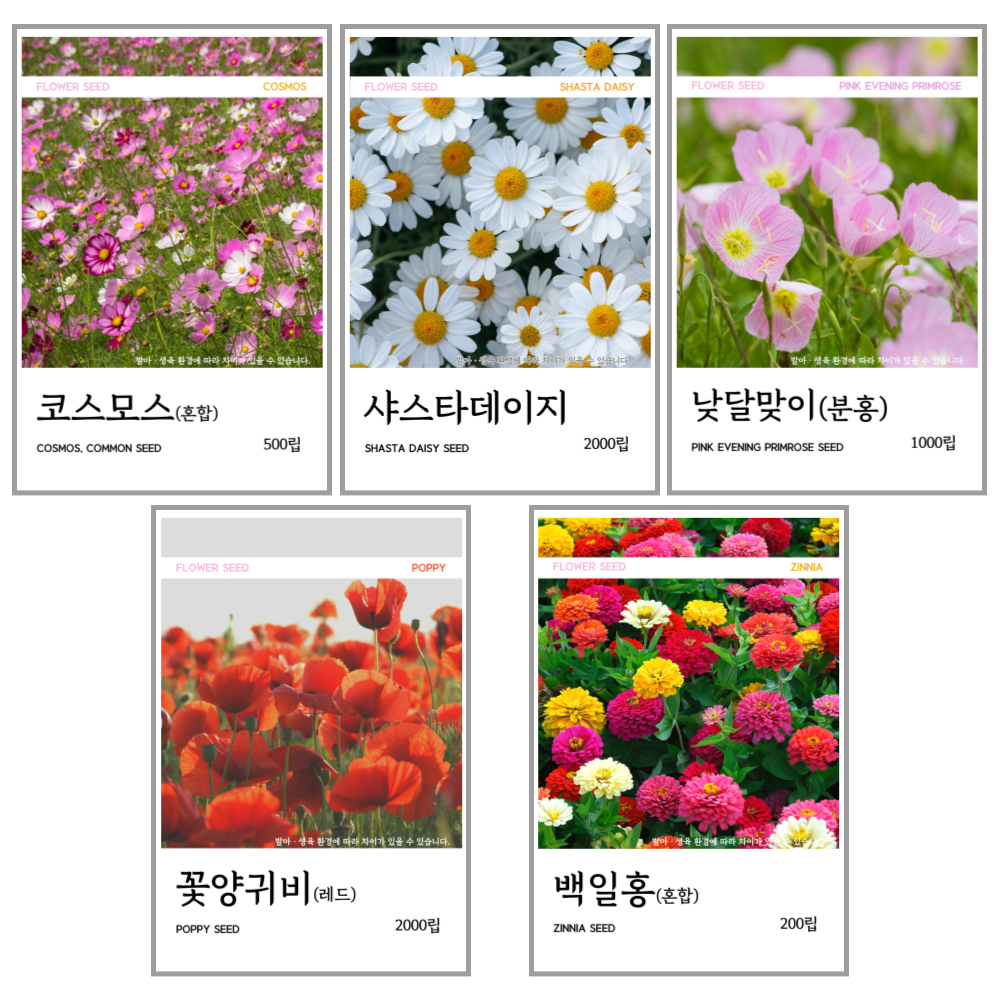 꽃씨 5종 (샤스타, 코스모스, 낮달맞이, 꽃양귀비, 백일홍) 9,700원