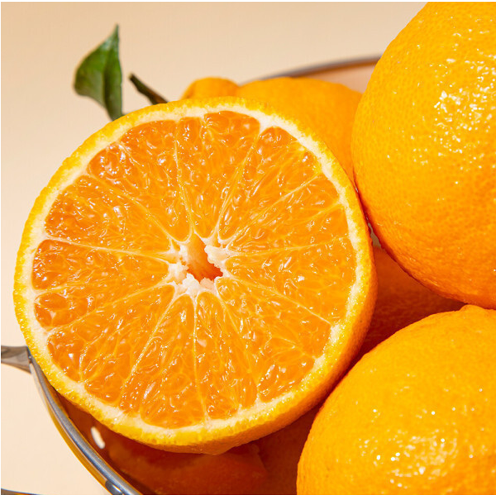 [입점특가] 제주 농가직송 고당도특품 한라봉 18,900원