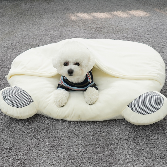 레드퍼피 반려동물 몰랑몰랑 곰돌이 펫쿠션, 크림아이보리, 옵션:단품 27,900원