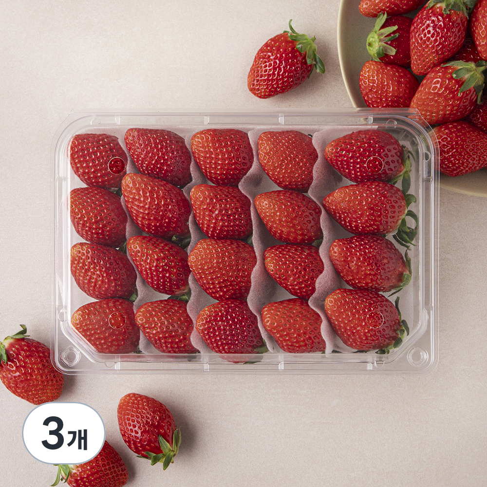 설향 딸기 대과, 현재가 14,670원