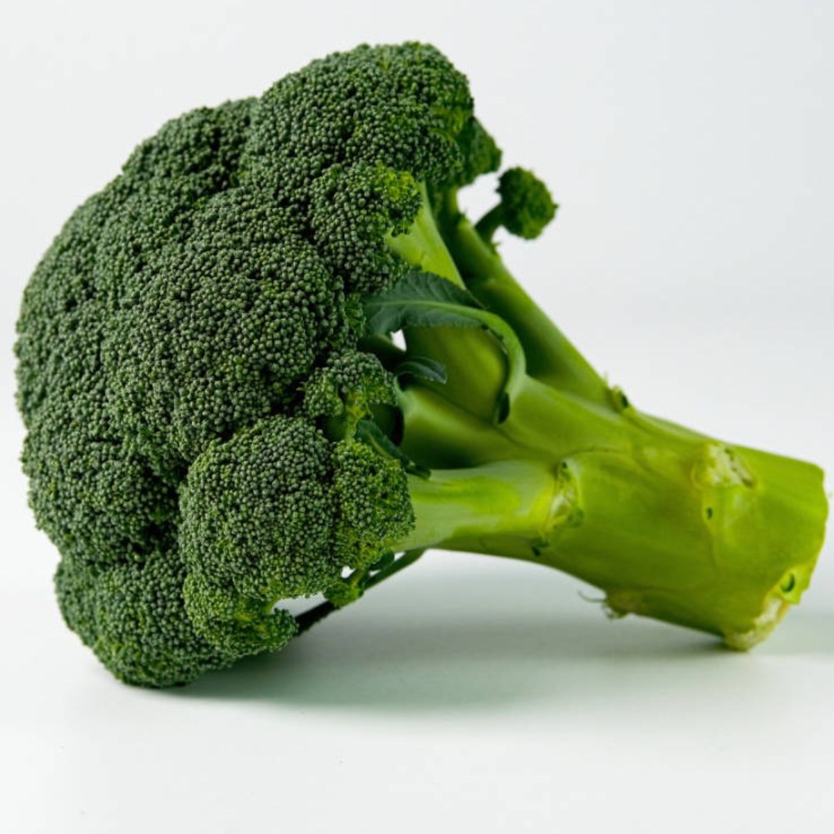 농가신선 특품 브로콜리 국내산 제주, 1박스, 4kg 22,900원