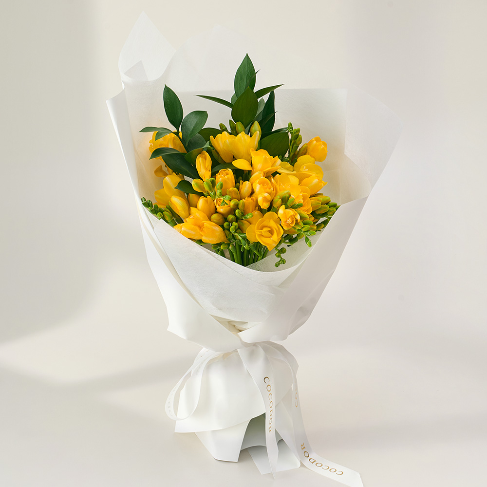 [로켓프레시] 농업회사법인 주식회사 코코도르팜 생화 프리지아 꽃다발, 혼합색상 32,900원