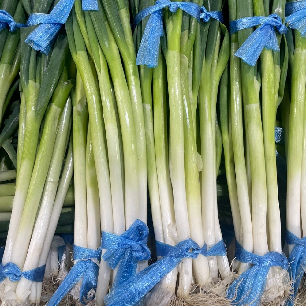 농가신선 국내산 흙 대파 특품 10단, 1개, 10kg 37,500원