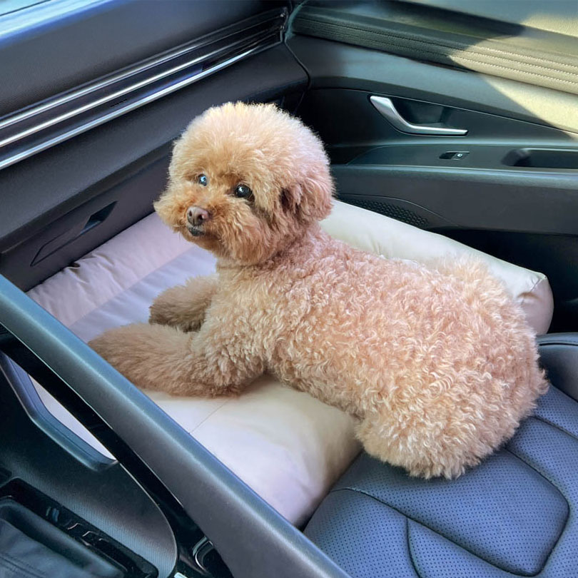 카스툴 강아지 앞좌석 추락 방지 카시트 중형견 대형견용 차량용 확장형 자동차 시트 69,000원