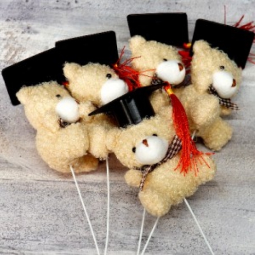 하하홈파티 졸업 학사모 곰인형 꽃다발만들기 재료, 현재가 10,300원