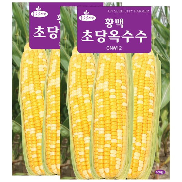 세인화분 황백 초당옥수수씨앗 100립 옥수수씨 초당 옥수수 씨앗 9,080원