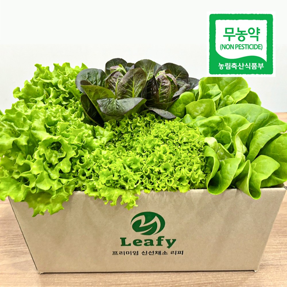 당일수확 산지직송 유럽 상추 3~8종 세트 무농약 프리미엄 샐러드용 / 리피 8,300원