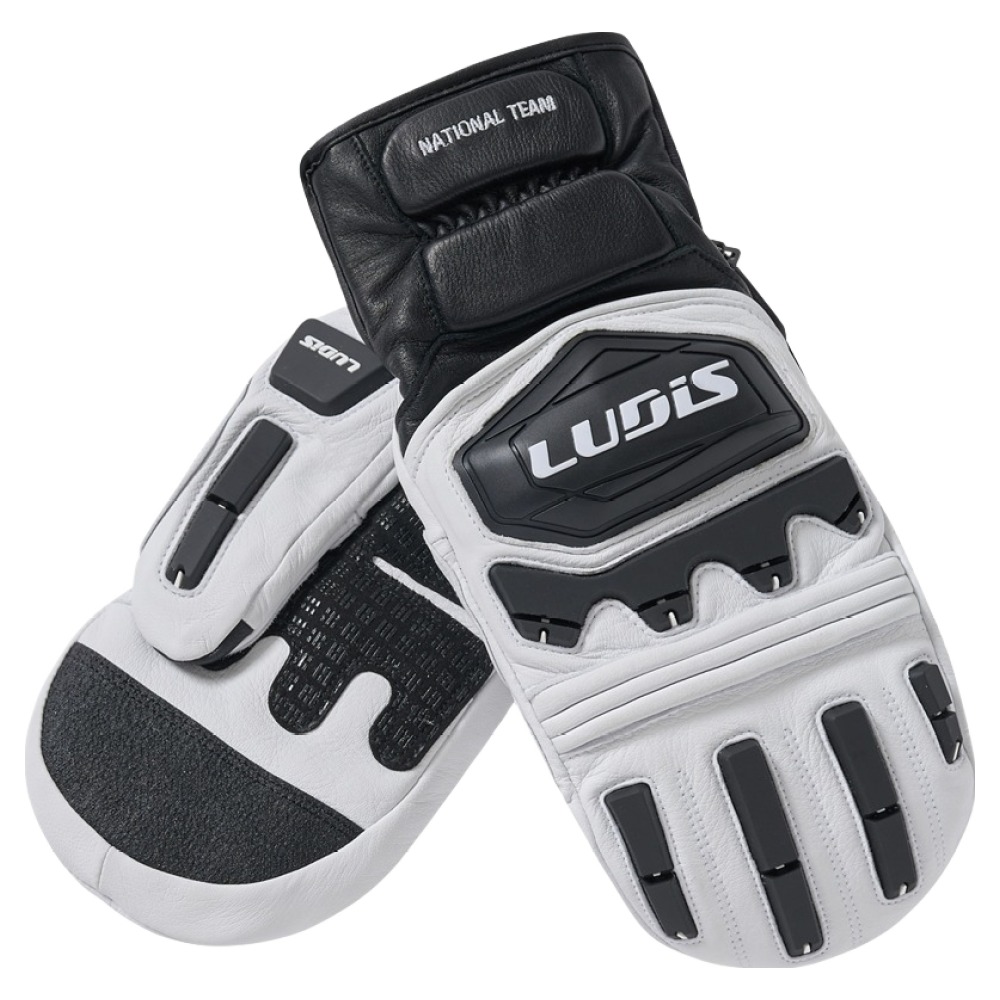 루디스 국가대표 알파인 스키 보드 레이싱 벙어리 방한 가죽 장갑 양손착용 세트 LUPDUG08 160,000원