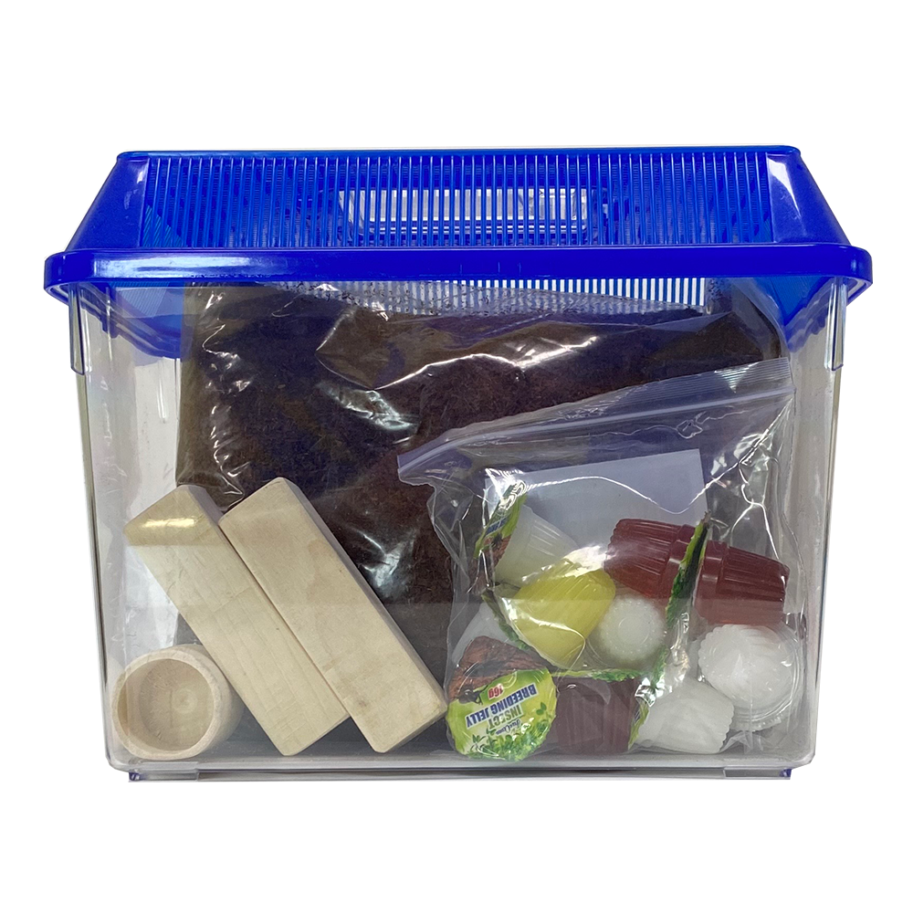 벅스프린스 장수풍뎅이키우기 세트 대형, 현재가 15,900원