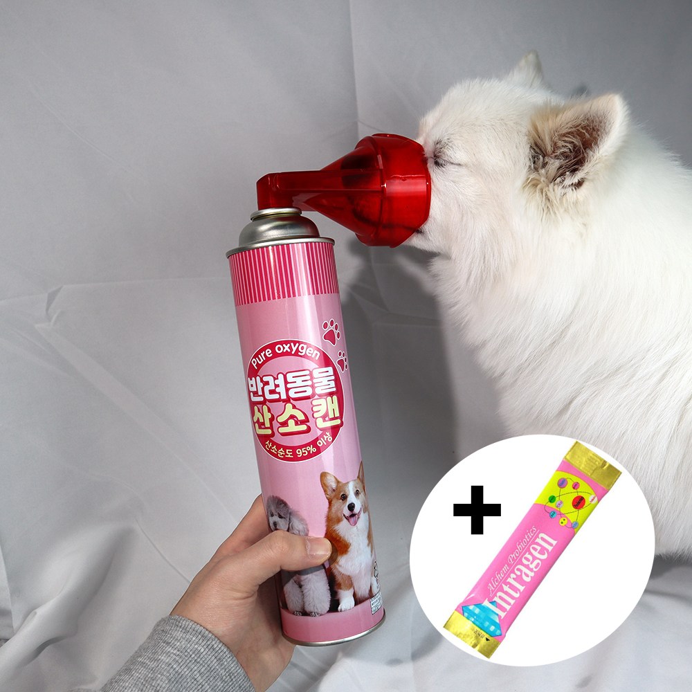 강아지 고양이 응급 산소캔 휴대용애견 산소호흡기 호흡곤란 발생기 기관지협착증 노견 INTRAGEN 추가증정 9,400원