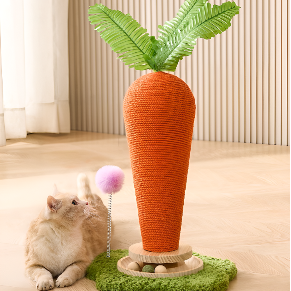 캣박스 고양이 당근 수직 스크래처 스크래쳐 장난감, 1개, 혼합색상 27,000원