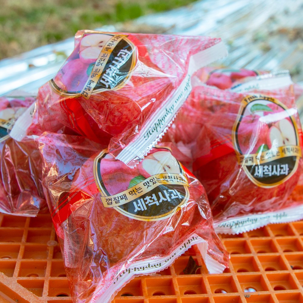 [오늘아침사과] 오늘아침 세척사과 5kg 22과 46,900원