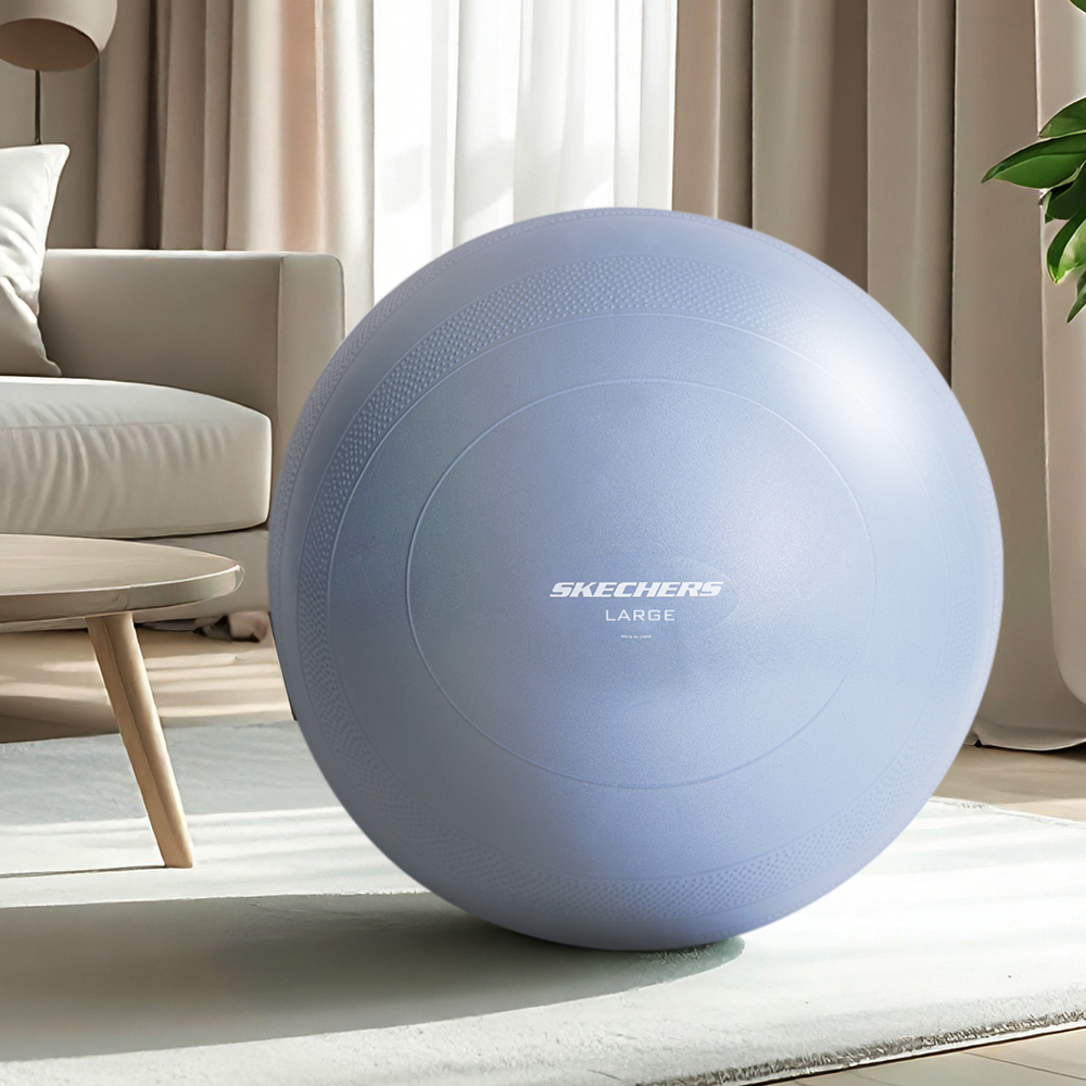 스케쳐스 고중량 안티버스트 짐볼 1.3kg, 더스티 블루 22,900원