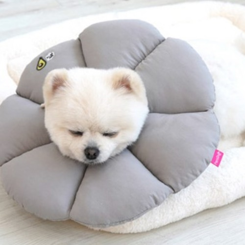 <로얄펫샵>패리스독 꿀잠카라 14,410원