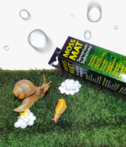 미니 엑소테라 모스매트, 성체 달팽이 바닥재, 거북이, 도마뱀 인조매트 10,000원