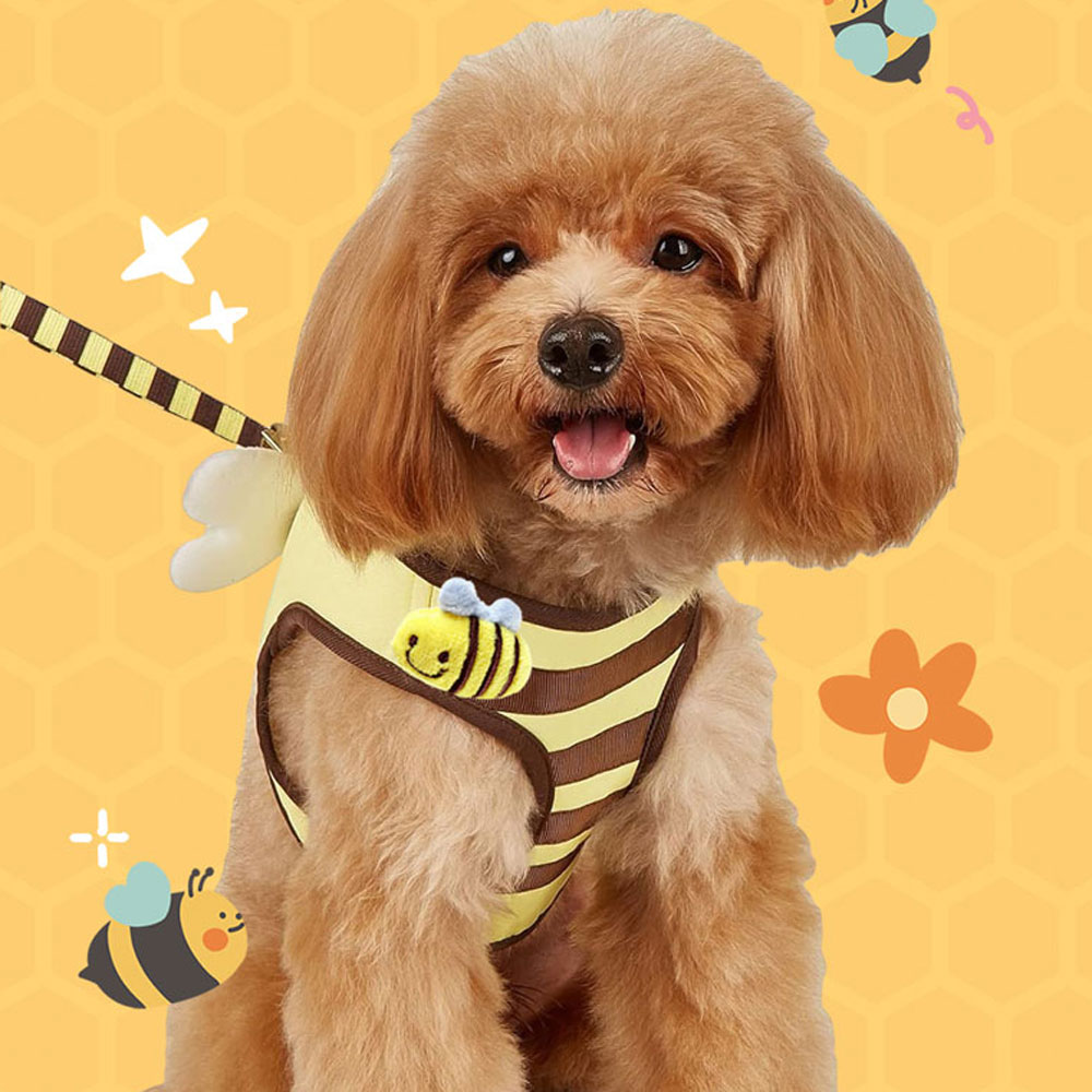 강아지하네스 꿀벌 천사날개 소형견 가슴줄 리드줄 세트, 1세트, 꿀벌하네스세트 15,610원