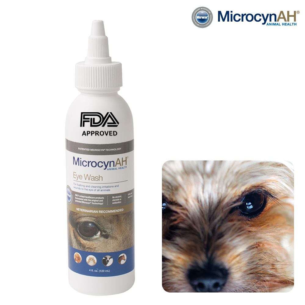 마이크로신 미국 FDA 인증 강아지 고양이 겸용 전문 눈 세정제, 1개, 120ml 35,000원