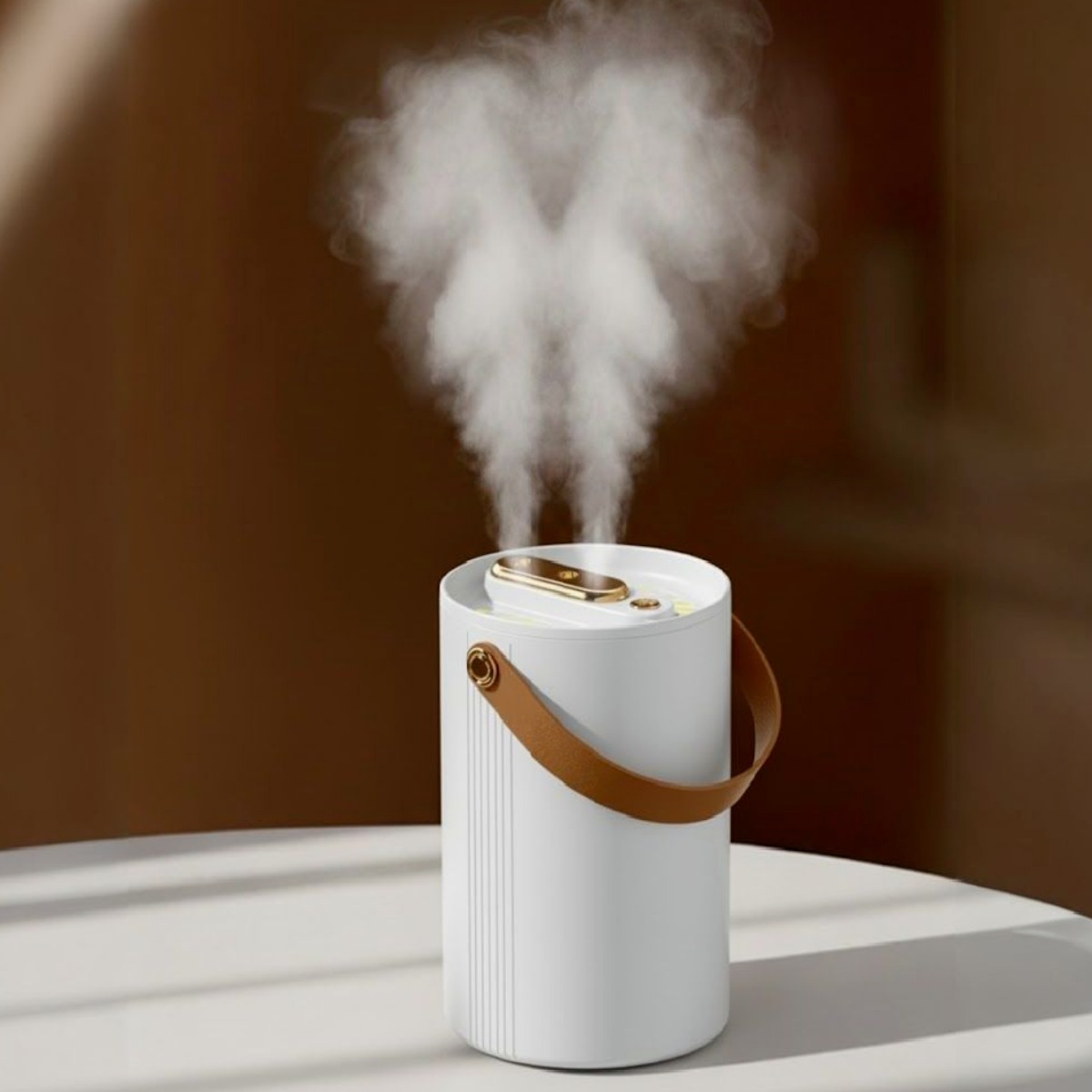 헤이슨 원형 미니 가습기 더블 미스트 휴대용 탁상용 무드등 가습기 1L 15,800원