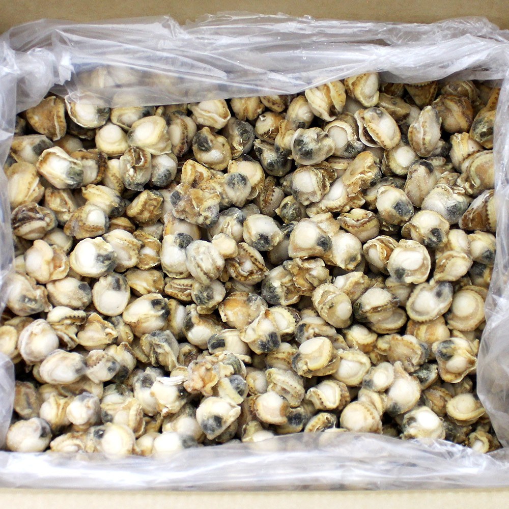 [자연에서 식탁까지] 냉동 가리비살(자숙) 10kg, 1개 70,000원