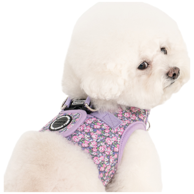 퍼피아 반려동물 카엘 하네스 HB2183, 바이올렛, 1개 25,980원