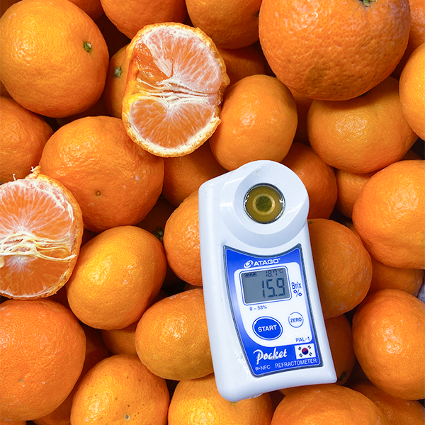 제주 비가림 고당도 선물 감귤, 1박스, 선물용 5kg 로얄중과내외 60,700원