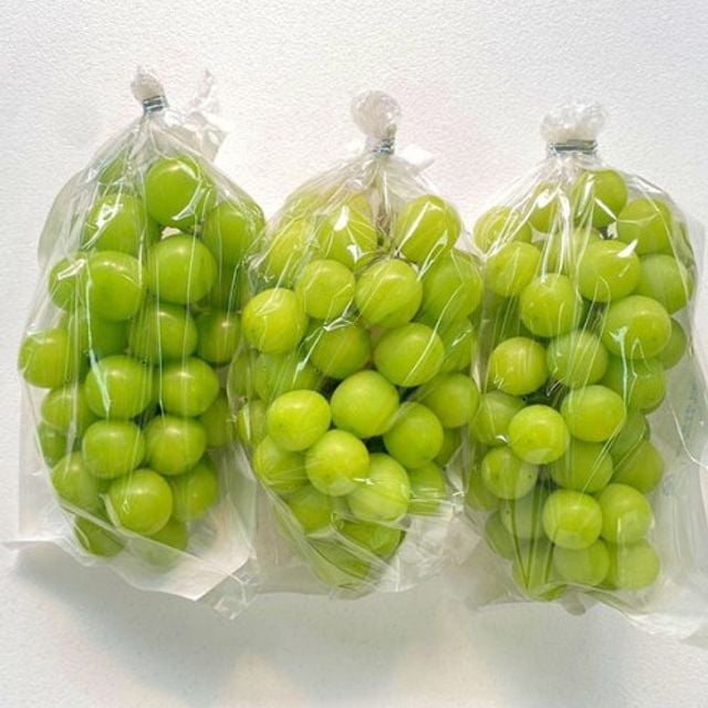 국내산 샤인머스켓 4kg내외(10송이) ggu+63969YN 90,480원